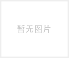 CJS1024系列WEBKEY上网器芯片